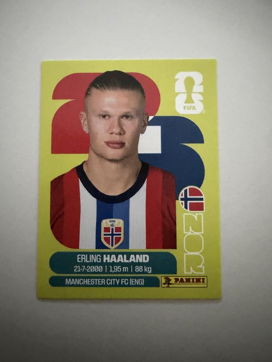 Panini Carte collezionabili: Haaland Panini – Nuovo (secondo la descrizione) da Uttigen venduto da huki123