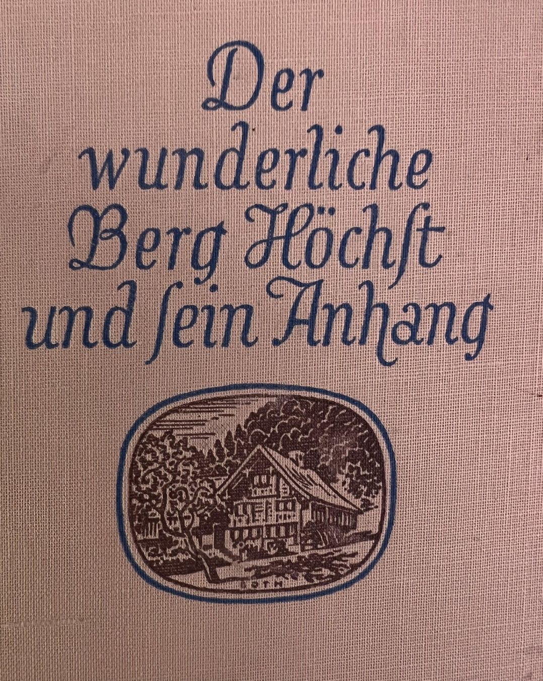 Libri: Buch - "Der wunderliche Berg Höchst" – Usato da Winterthur venduto da Green-Future 2