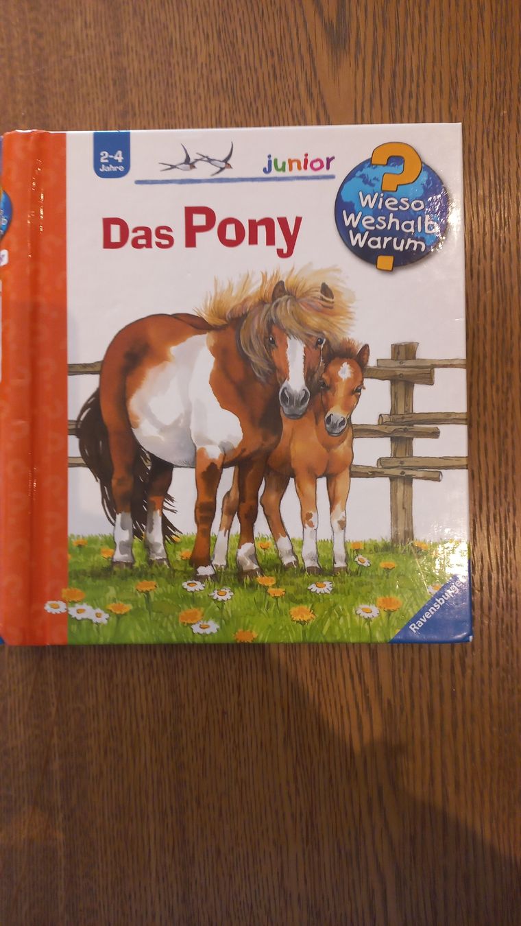 Bücher: Kinderbuch "Das Pony" Ravensburger Junior 2-4J. – Gebraucht aus Leukerbad von vwgolf01