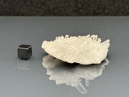 Quartz cluster - Mineral
