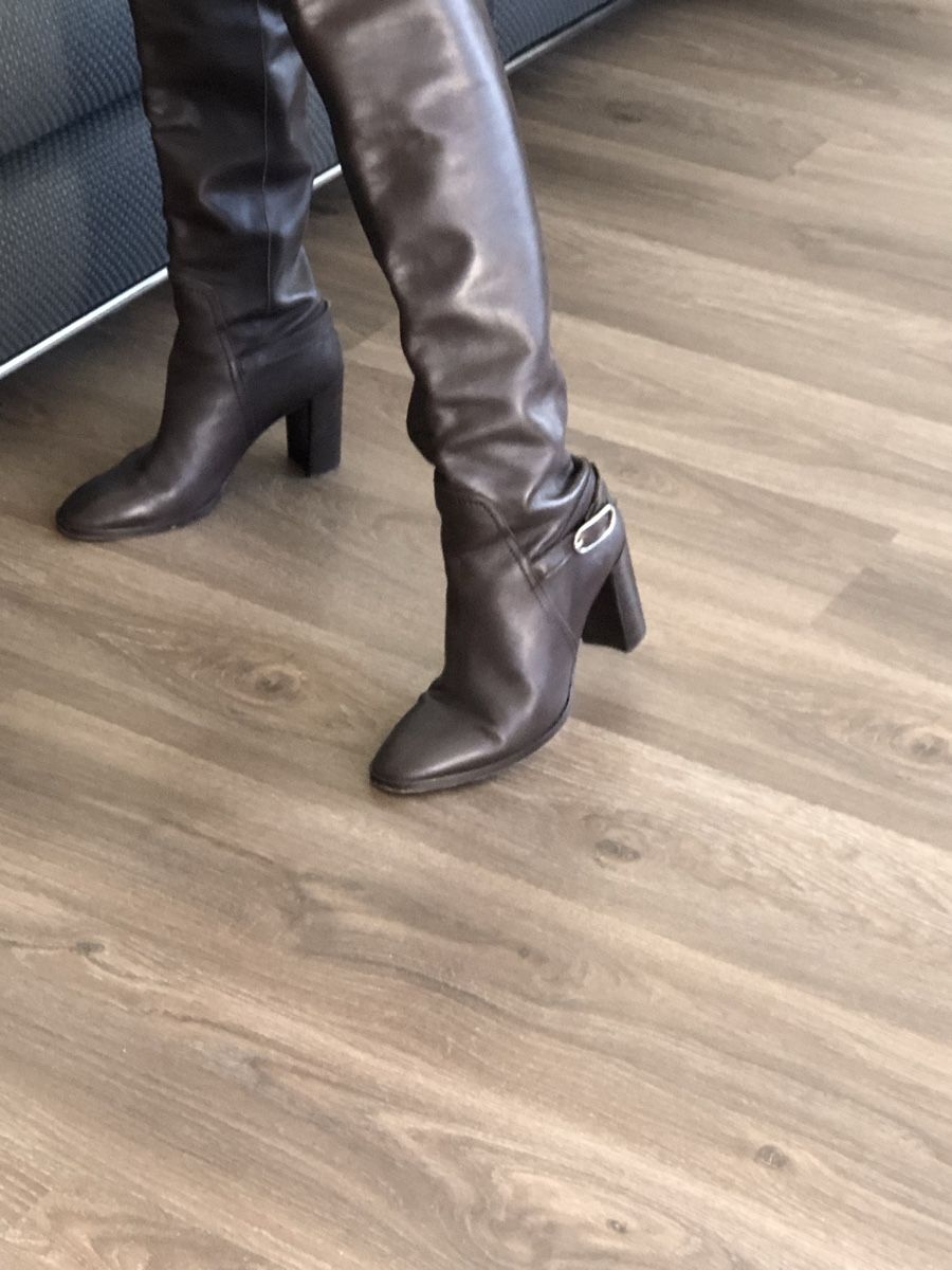 Scarpe da donna: Massimo Dutti Stiefel neuwertig 39 – Nuovo (secondo la descrizione) da zürich venduto da ritas0102 3