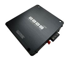 Amplificateur 1 canal - Carpower Nano-2001