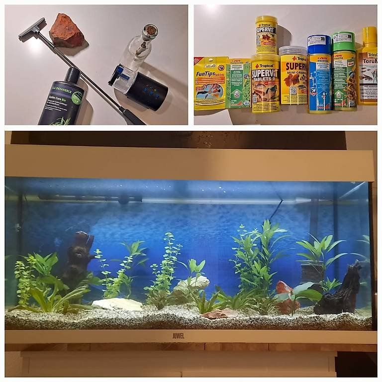 Eheim Acquari: Komplettes Juwel Aquarium 240l – Usato da Greifensee venduto da Thomy_008 1