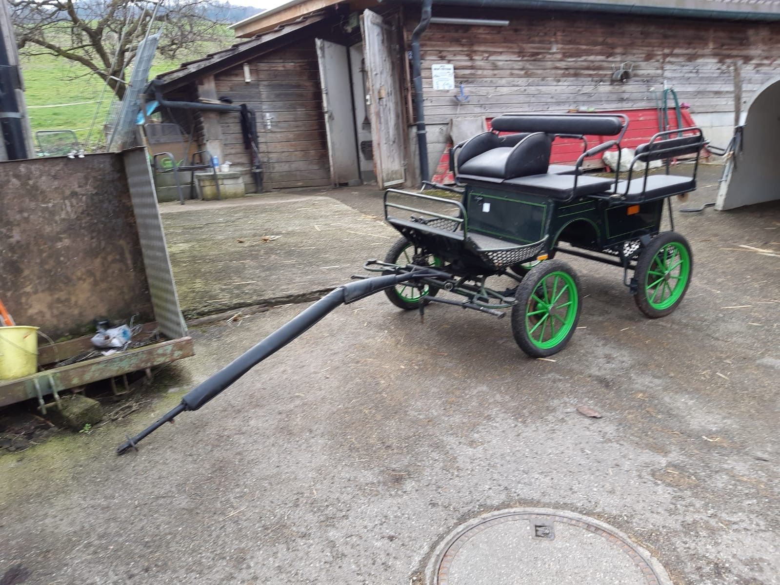 Carrozze: Pony Wagonette – Usato da Muttenz venduto da Meiglan 3