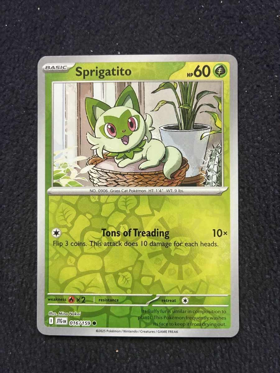 Pokémon Carte collezionabili: POKEMON CARDS JOURNEY TOGETHER REVERSE # 16 – Nuovo (secondo la descrizione) da Taverne venduto da YOHISTORE
