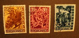 FL 1960 Heimatliche Bäume Kat 45.-