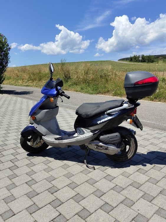 Pgo Scooters: PGO T-REX 125 – Gebraucht aus Lyss von ben_lgb6 3