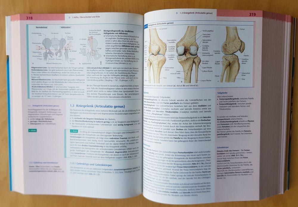 Lehrbuch Duale Reihe: Anatomie | Kaufen Auf Ricardo