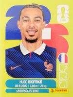 Panini FIFA World Cup FRA 19