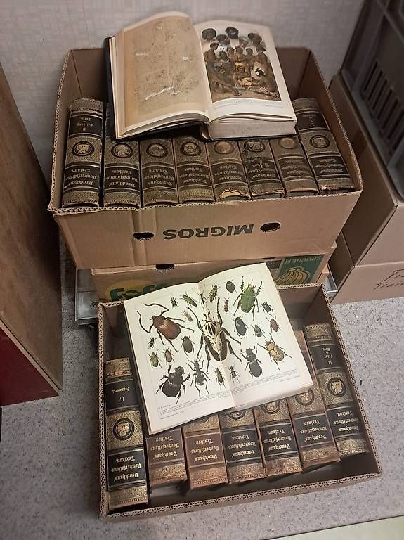 Livres: Brockhaus Lexikon – D'occasion à Langnau am Albis par Dacky66 2