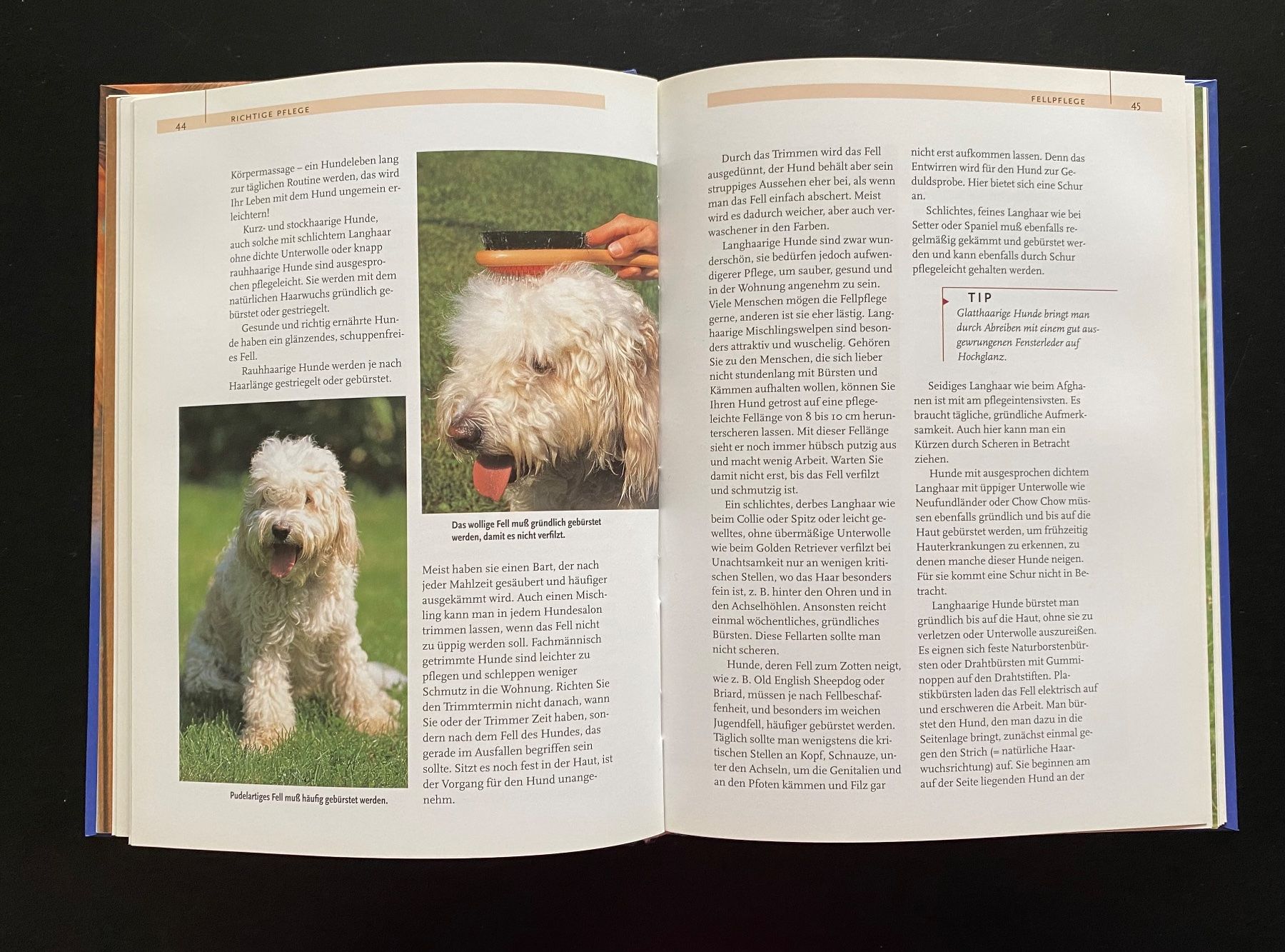 Libri: Mischlinge / PraxisWissen Hund – Usato da Nussbaumen AG venduto da schuba2000 3