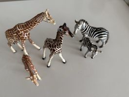 3 Giraffen 2 Zebra Schleich