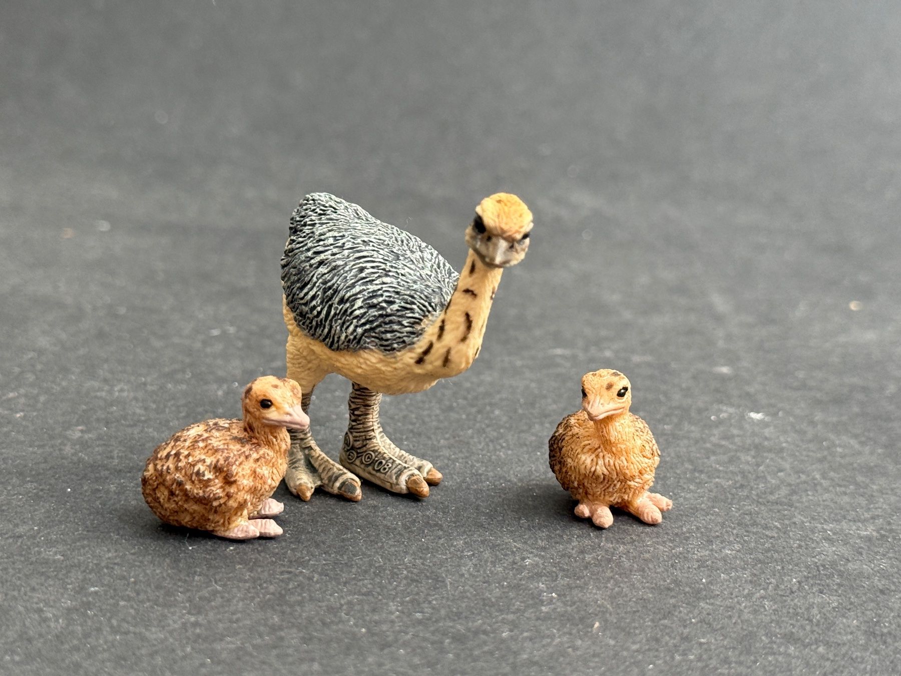 Schleich Statuette: Schleich Strauss Familie – Usato da Ennetbaden venduto da mapa05 6