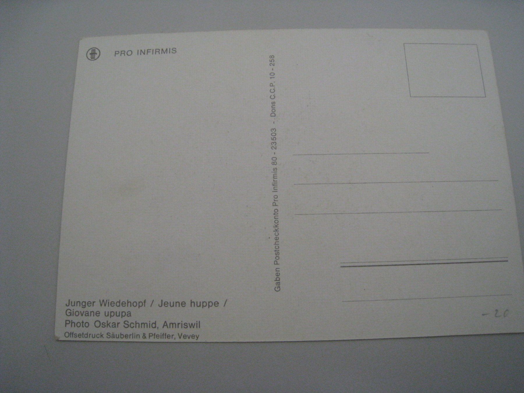 Cartoline postali: Junger Wiedehopf   1970 ungelaufen – Usato da Aarwangen venduto da Pinsel7890 2