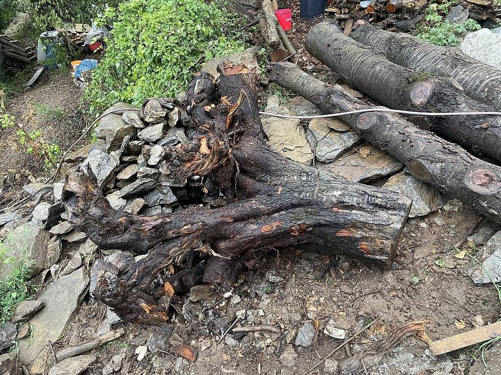 Articoli in legno: Holz Kirsche Baumstämme – Usato da Naters venduto da brunteles 2