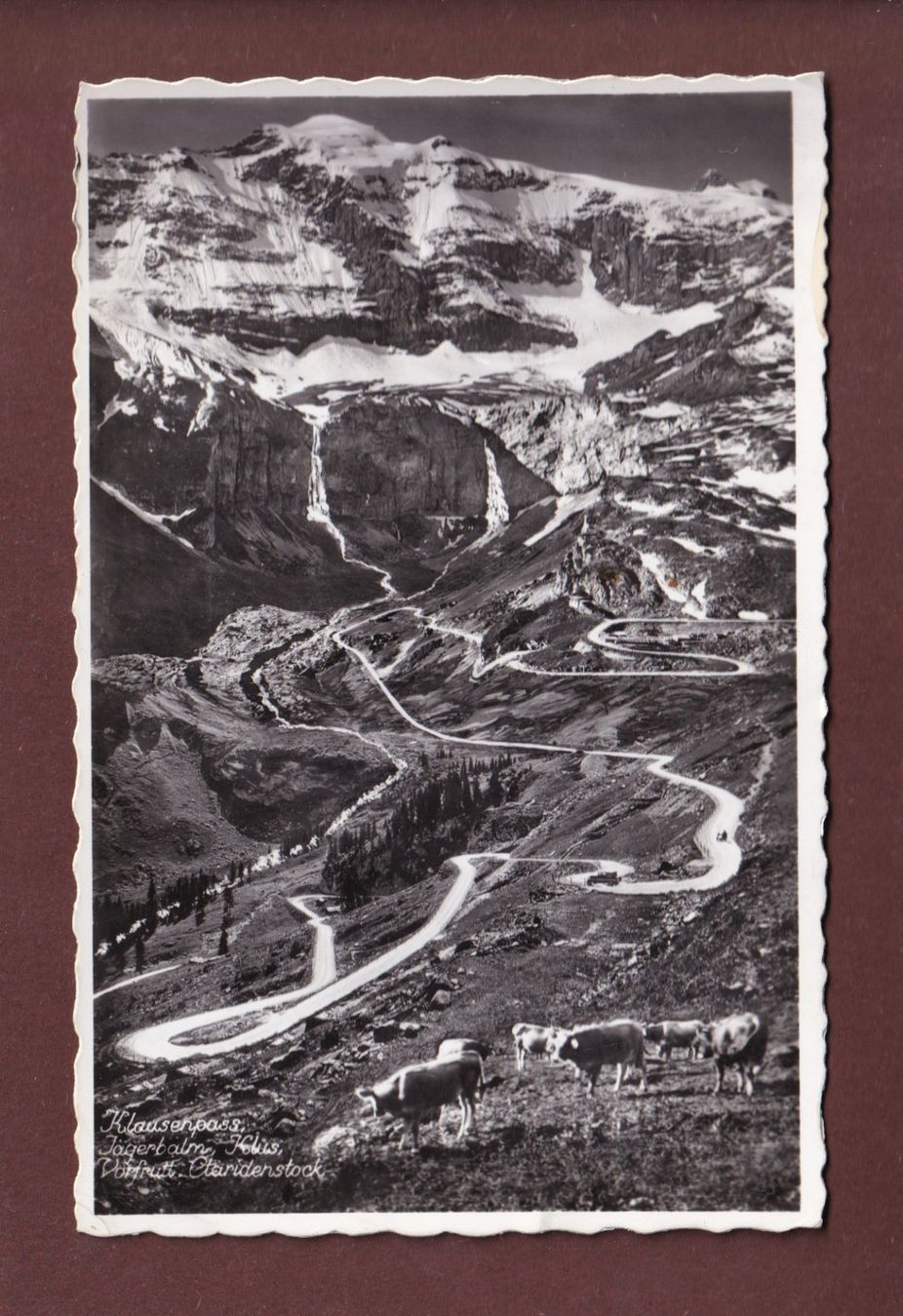 Cartoline postali: KLAUSENPASS - Kühe – Usato da Pully venduto da nicecards-shop