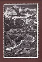 KLAUSENPASS - Kühe