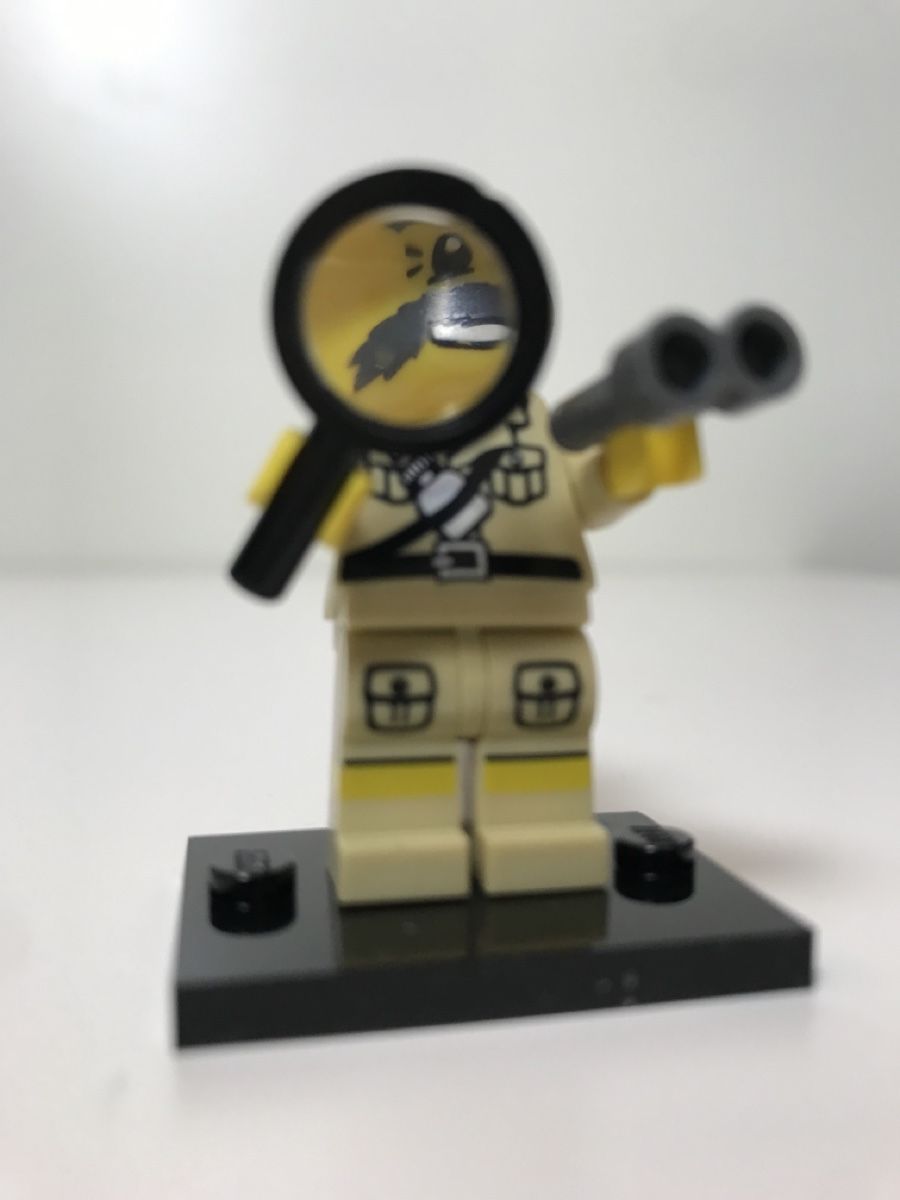 Lego Figuren: LEGO Minifiguren Serie 2 - Archäologe – Neu (gemäss Beschreibung) aus Wil SG von SamuelLukas01 1