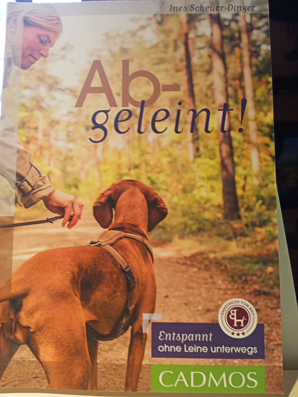 Bücher: I. Scheuner-Dinger: Abgeleint!  – Neu (gemäss Beschreibung) aus Oftringen von Myti