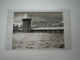 SEEGFRÖRNI 1929 LUZERN