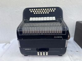 Akkordeon Adria Diaton IV (59)