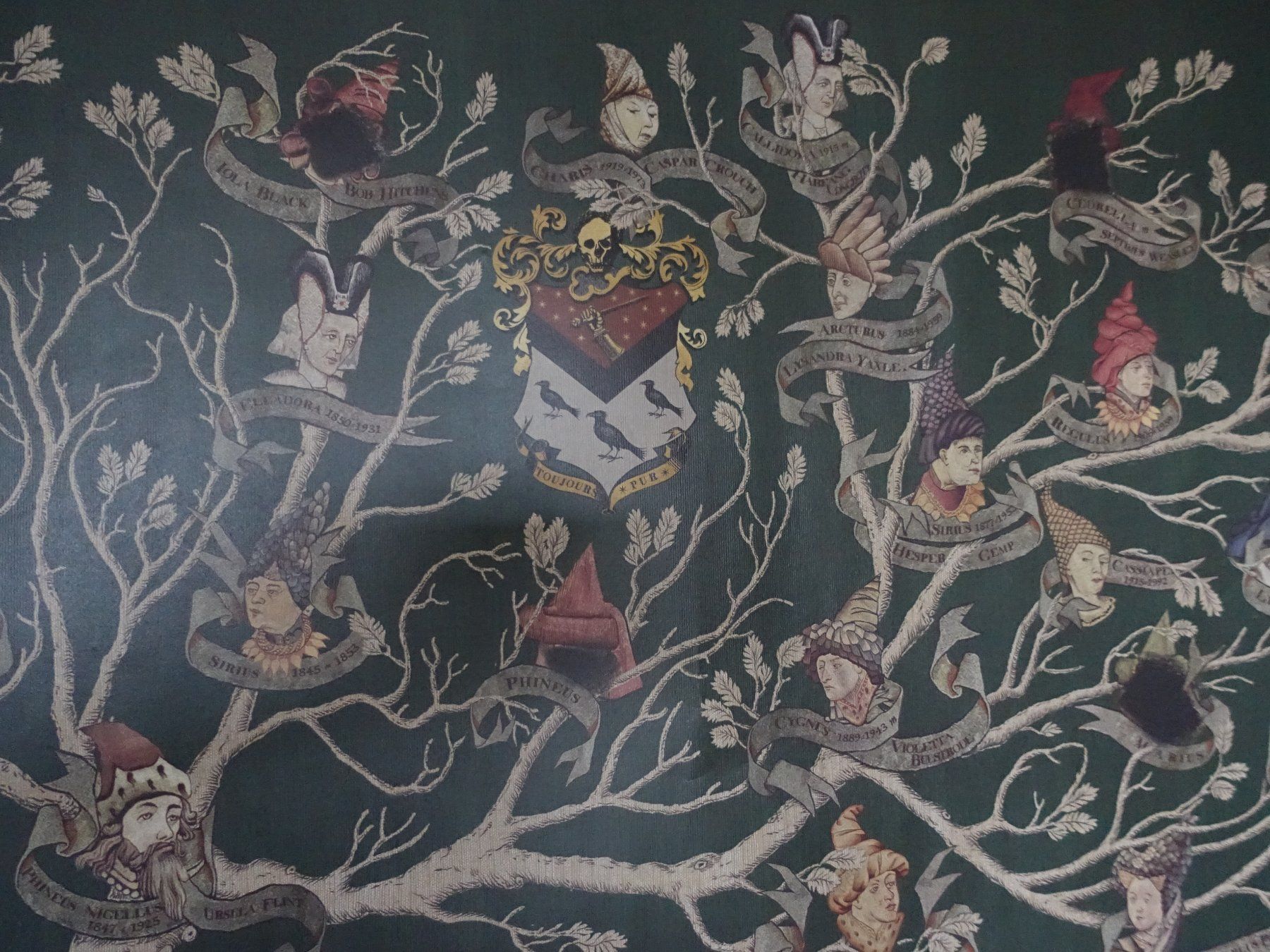 Foto & Immagini: Harry Potter Black Family Poster – Usato da Glattfelden venduto da tdlubek 4