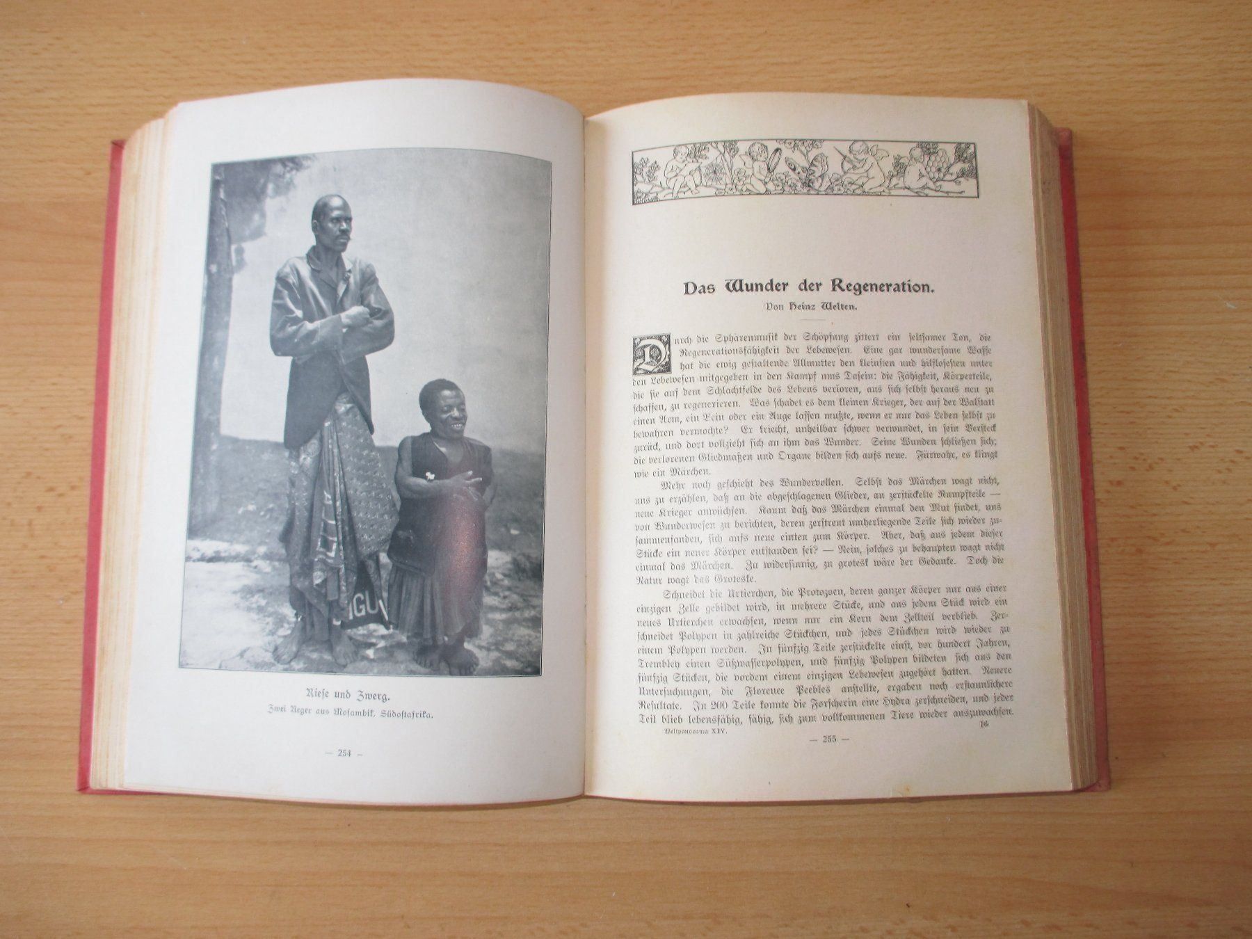 Livres: Das grosse Weltpanorama, 1914 – D'occasion à Flims - Dorf par Stagediver 7