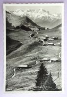 Chalets de Bretaye, Restaurant et Aig. Verte