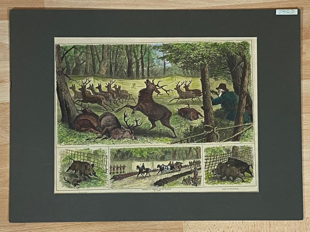 Holzschnitt koloriert Jagd Hirsch 1890 1