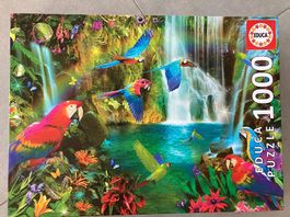 Puzzle Papageien 1000