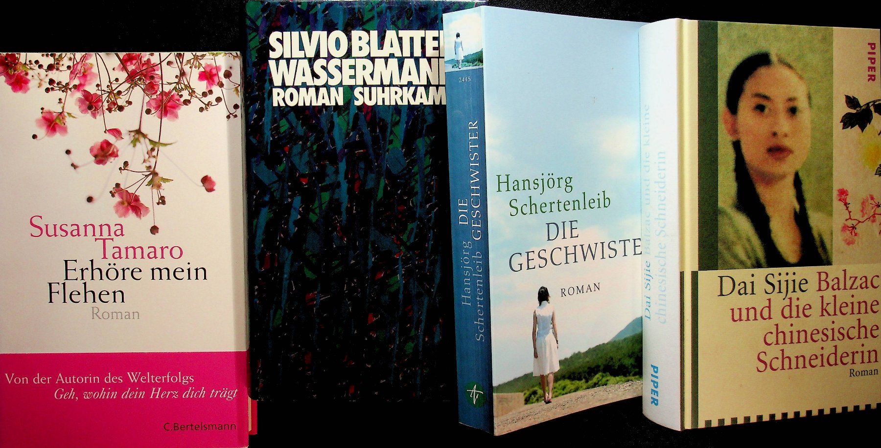 Libri: 4  spannende Romane – Usato da Reitnau venduto da Zaomir