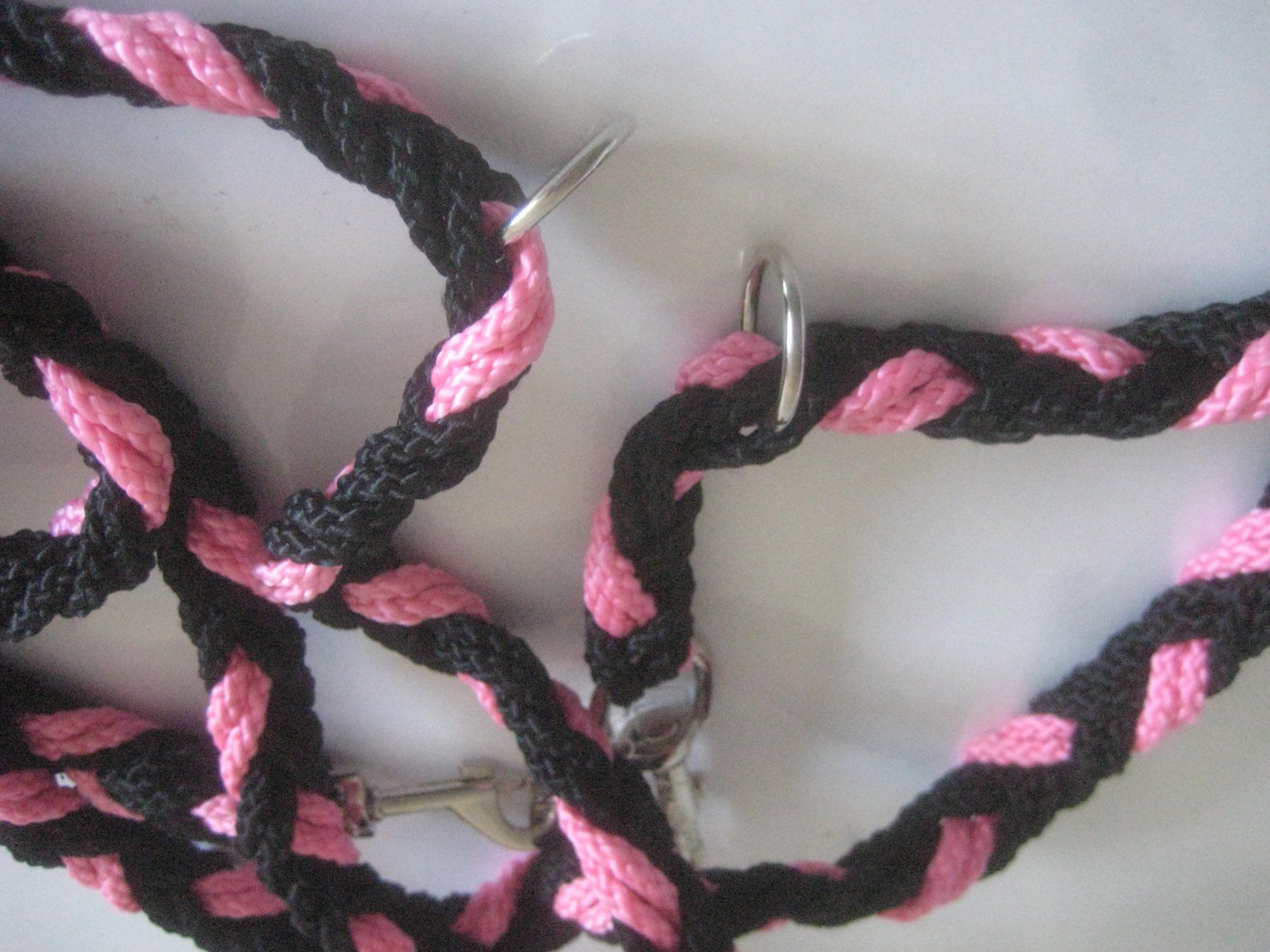 Leine & Halsband: HUNDE LEINE – Neu (gemäss Beschreibung) aus Uster von flocke1 2