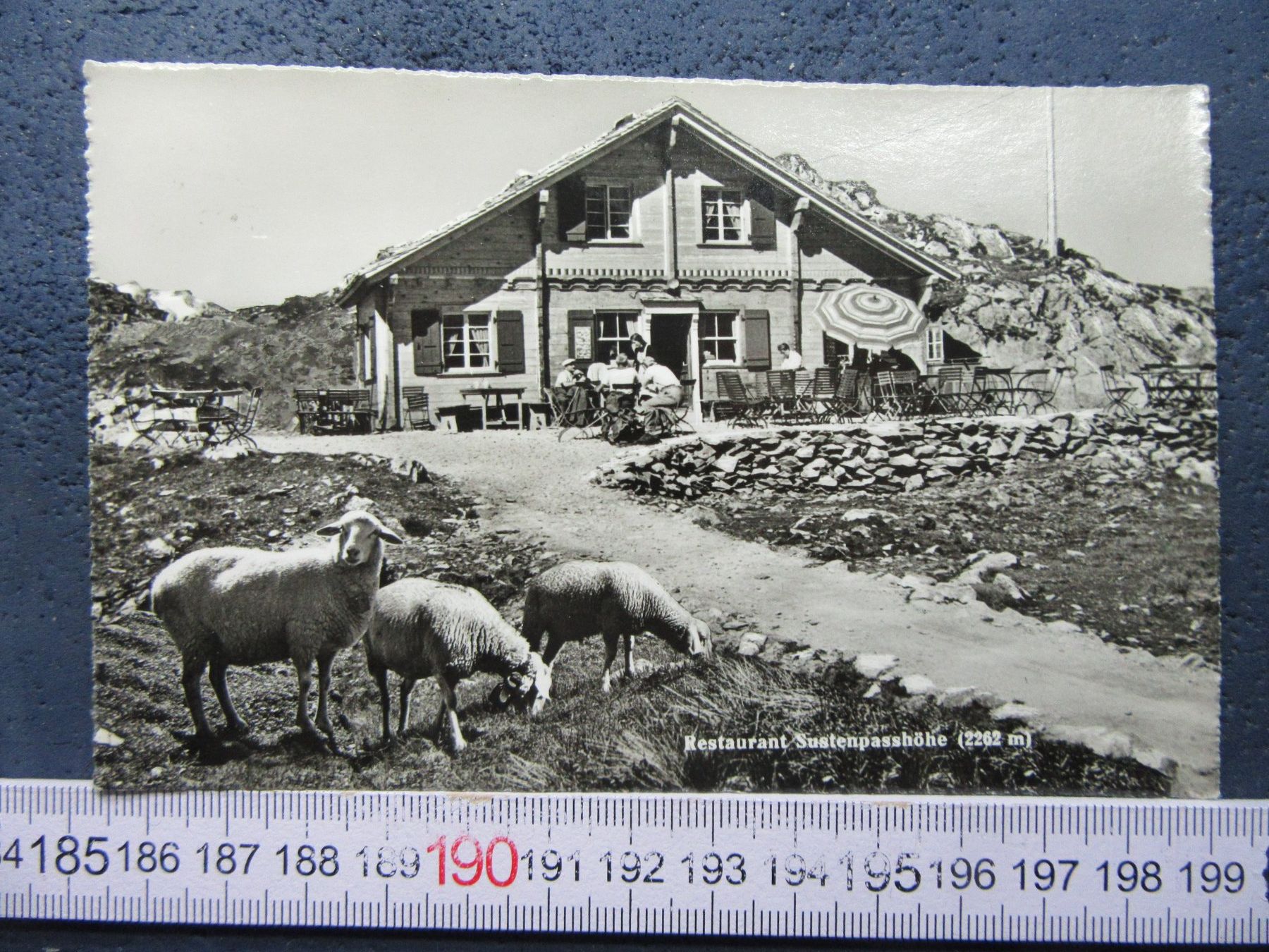 Cartoline postali: SUSTENPASS-HÖHE RESTAURANT BELEBT 1947 – Usato da Ettingen venduto da Hausi4711
