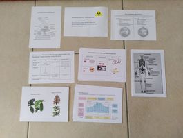 KARTEIKARTEN VERSCH.NATURWISSENSCHAFTLICHE THEMEN