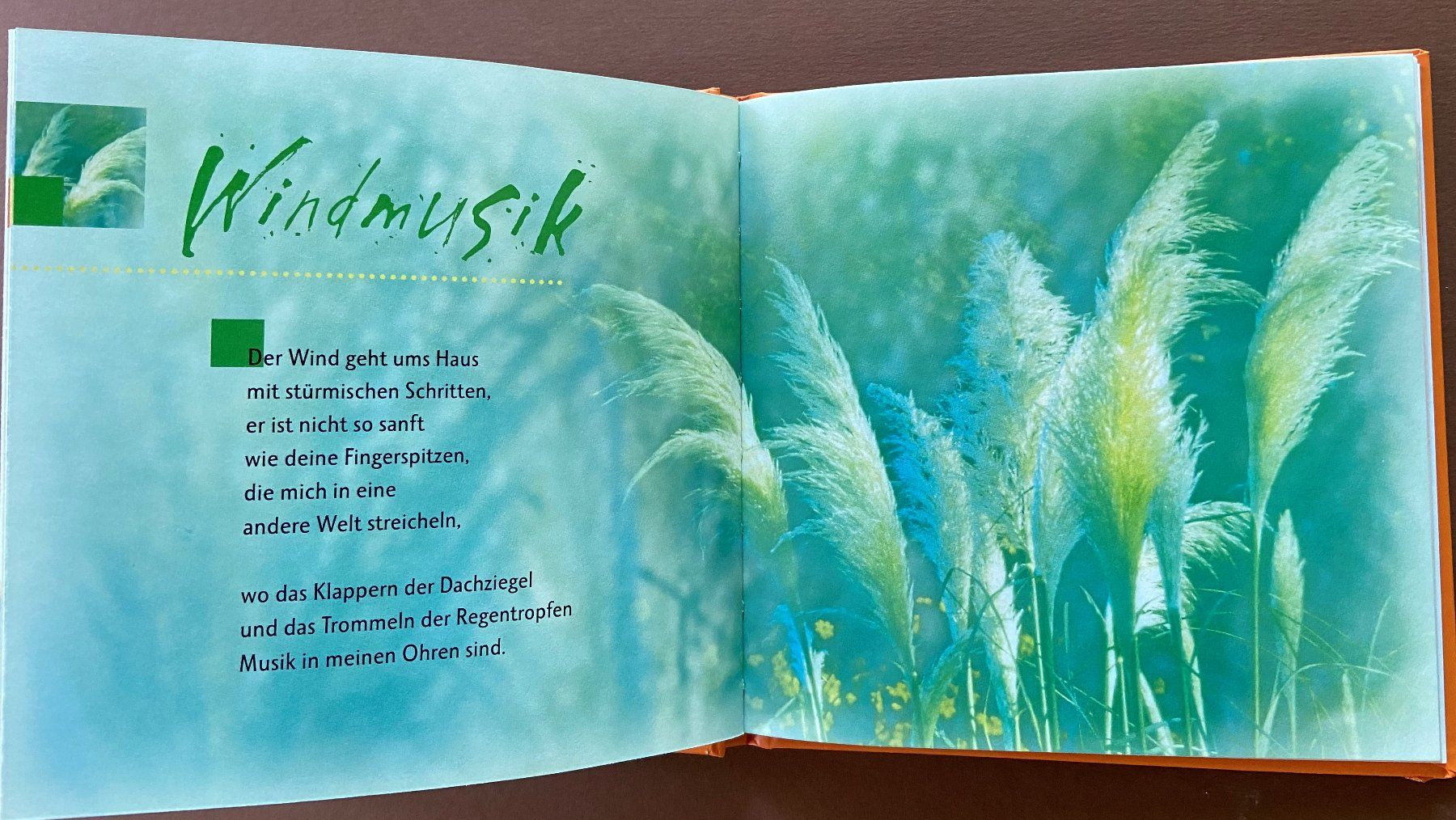 Libri: Buch "Berauscht von dir"  Gedichte von Hans Kruppa – Usato da Böckten venduto da Hansi36 2