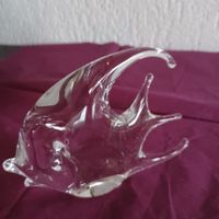 schöner schwerer Glasfisch