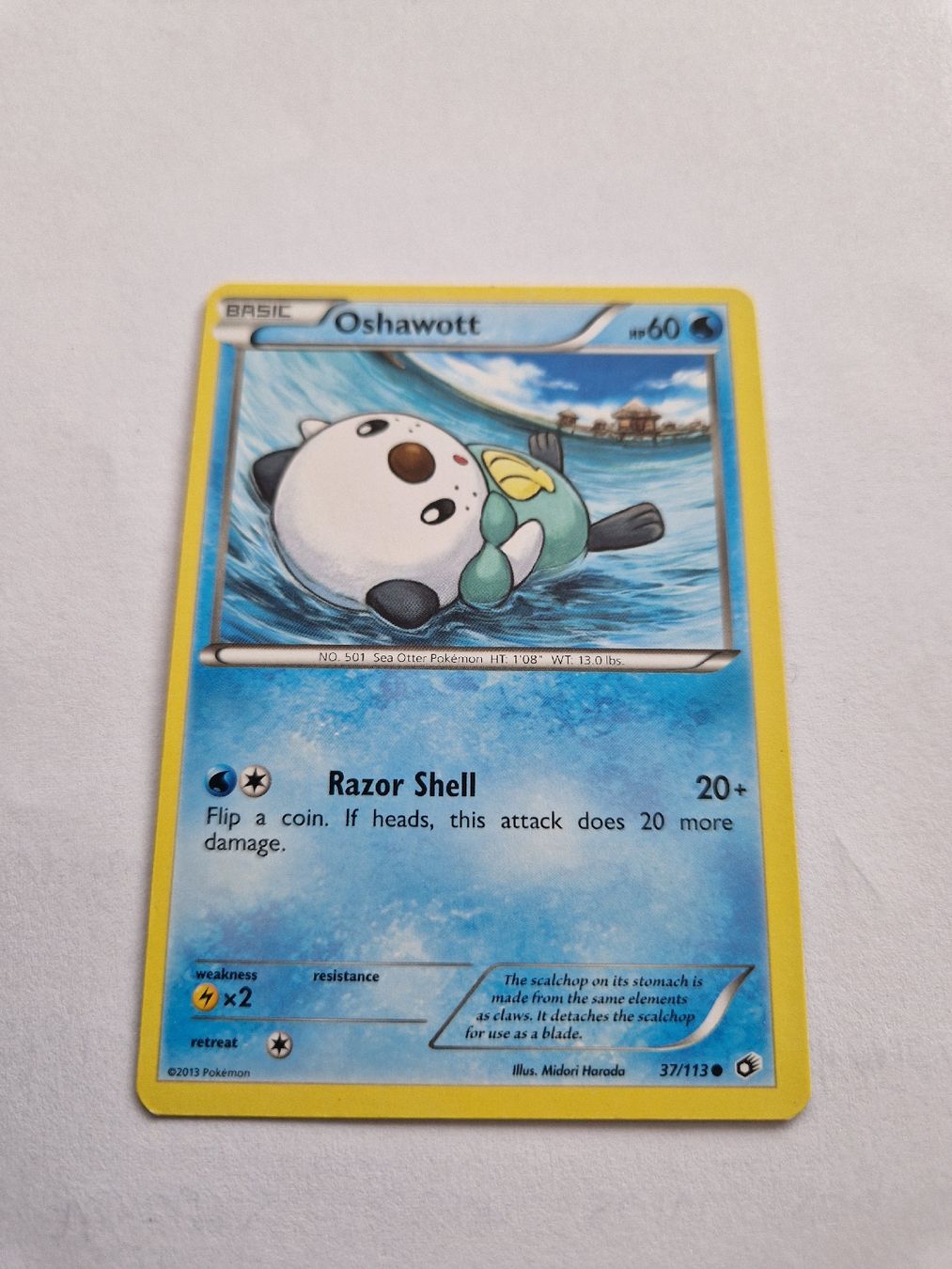 Pokémon Carte collezionabili: Oshawott - Legendary Treasures - EN - Ab 1.- – Usato da Romont FR venduto da raj_sjv9 1