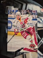 Nolan Cattin EHC Biel 2025/26 Sportzoo 2