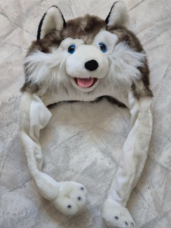 Tier Wintermütze Hund Husky