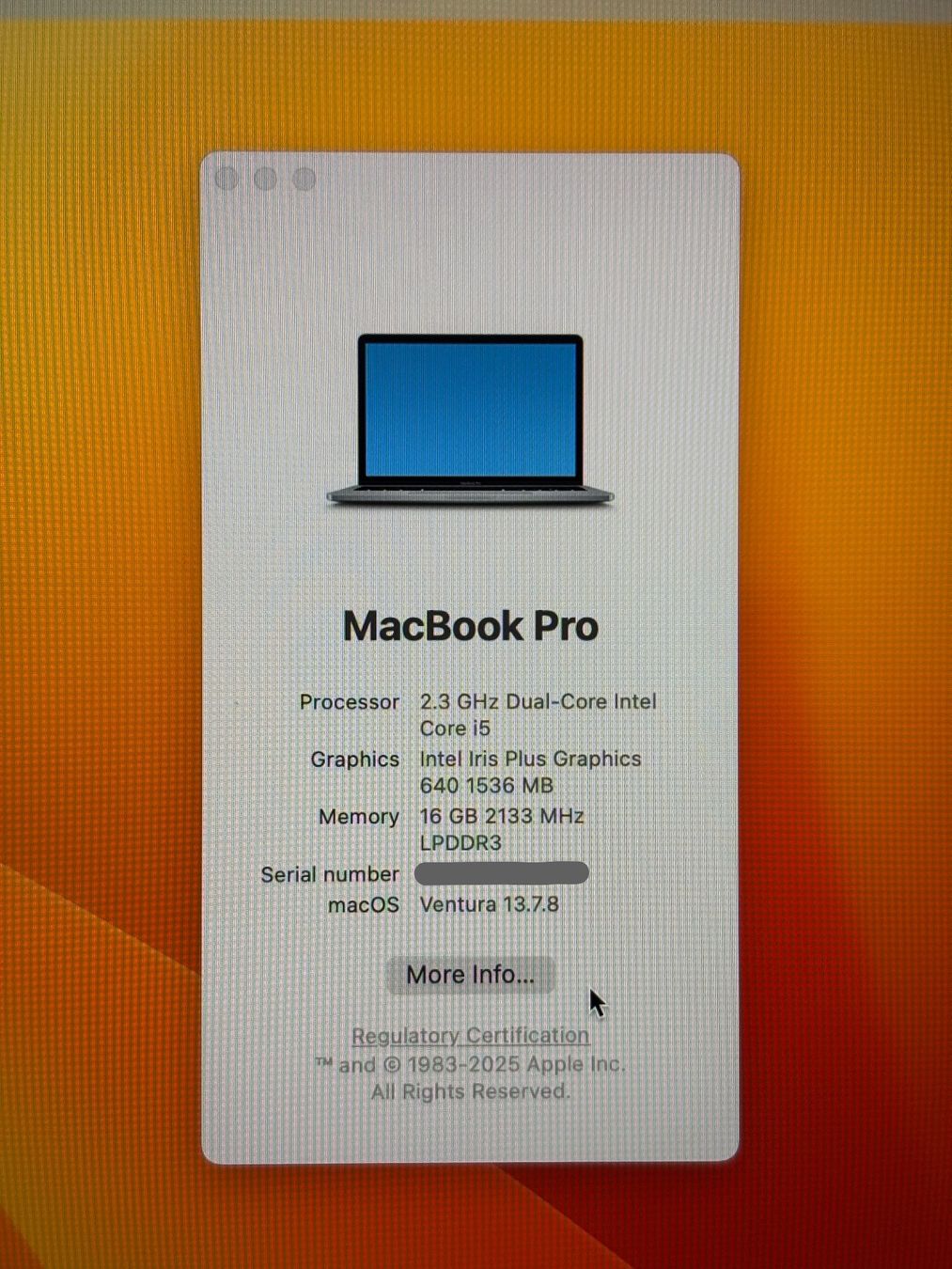 Apple Notebook: Apple MacBook Pro 13" 2016 - i5 16/256 – Usato da Zürich venduto da Popp3000 4