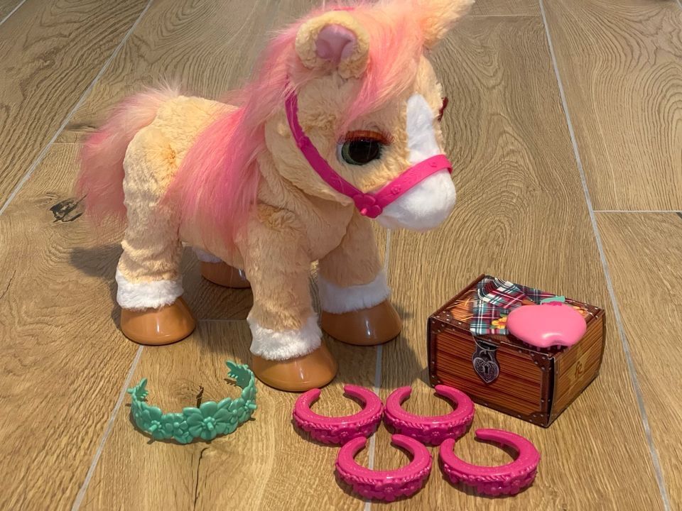 Hasbro fur Real cinnamon Pony Spielfeld Spielzeug in Baden-Württemberg - Langenargen | Weitere Spielzeug günstig kaufen, gebraucht oder neu