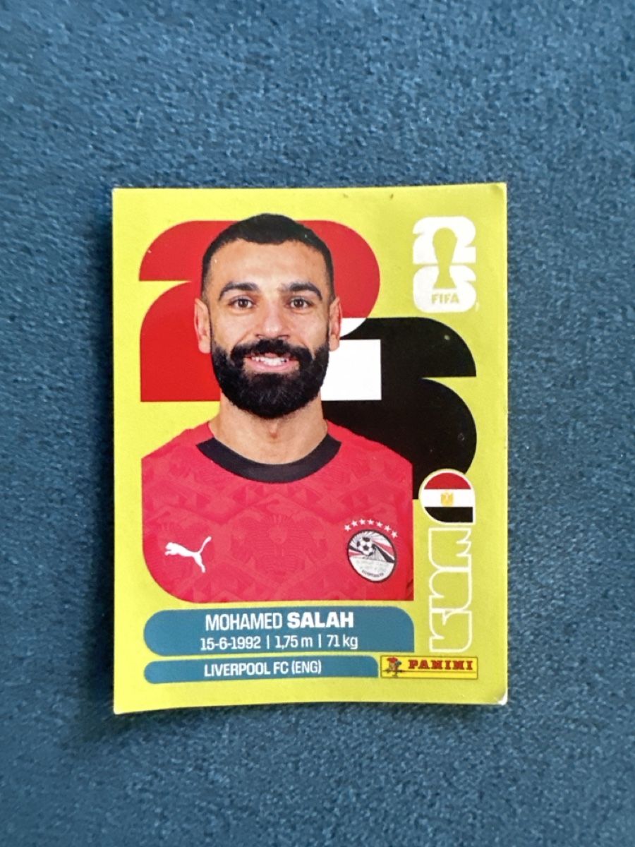 Panini Sammelbilder & Trading cards: Panini Egv17 – Gebraucht aus Sion von Alfi74