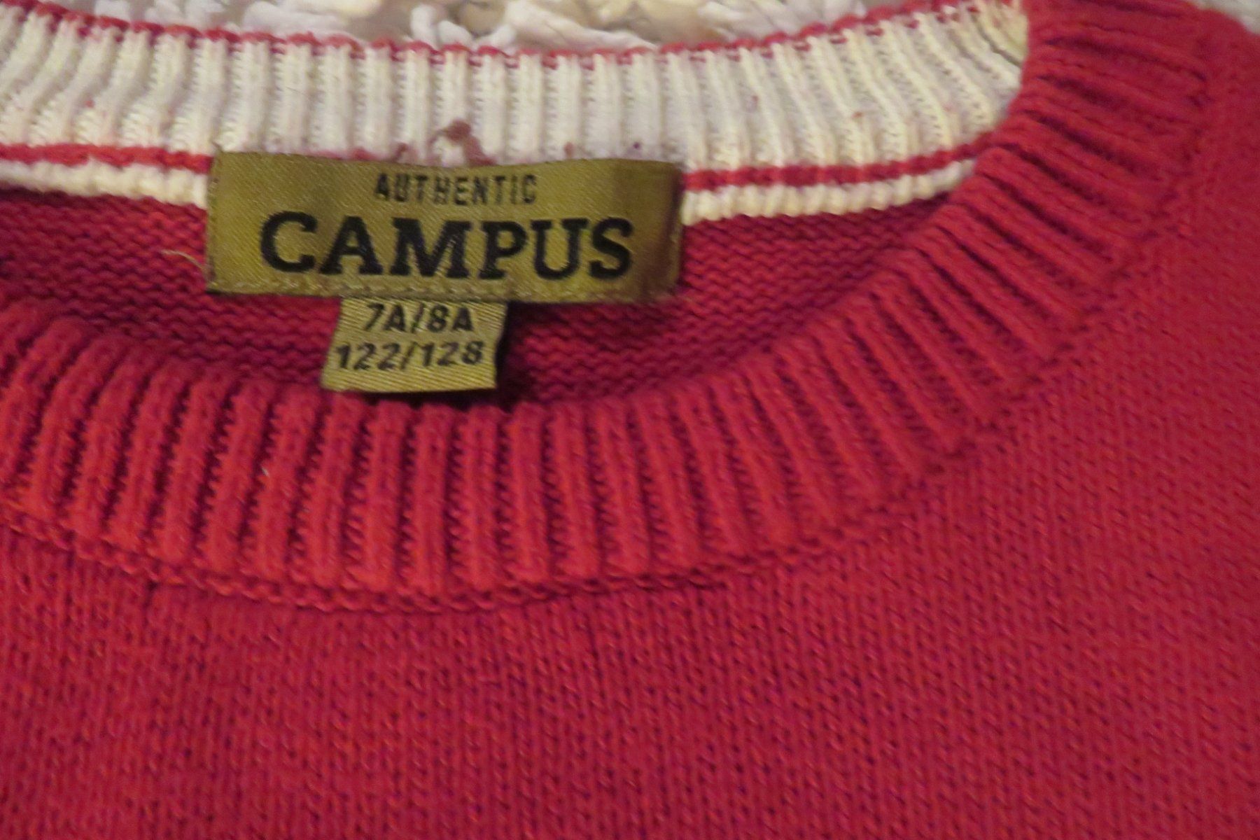 Pulls et sweat-shirts: Pullover Campus in Gr. 122-128 – D'occasion à Steckborn par Bibendum02 2