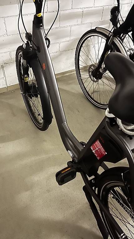 Velos: E-bike  – Gebraucht aus Arbon von elhent100 1