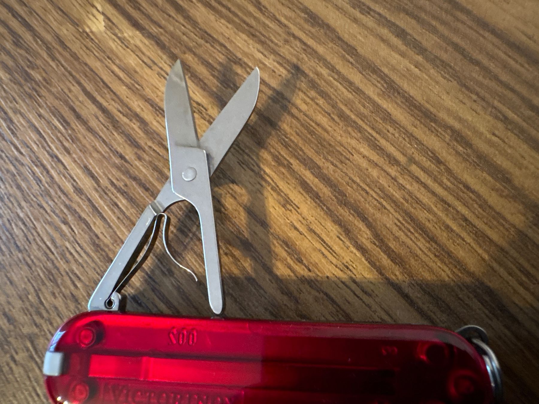 Victorinox Coltelli tascabile: VICTORINOX - Swiss Lite red trans - Sackmesser – Nuovo (secondo la descrizione) da Andwil SG venduto da Rainboli 5