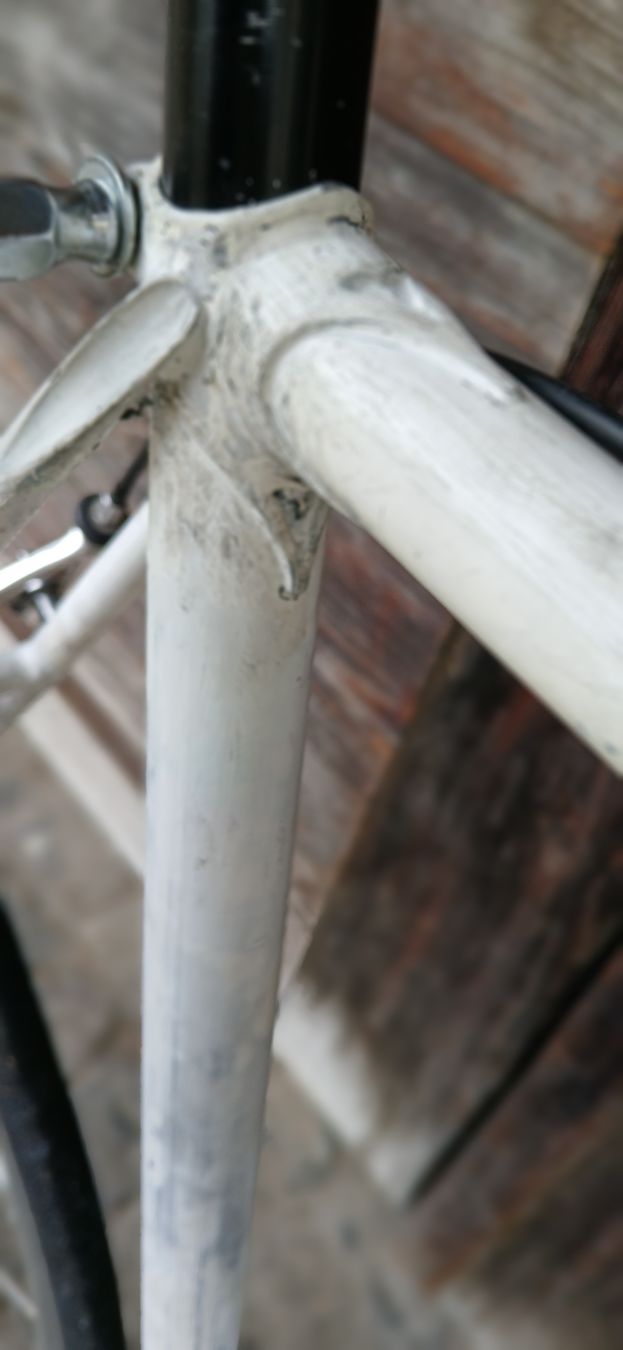 Biciclette: Cristal single speed/ fixi Gr 59 – Usato da Adliswil venduto da trujillo01 6