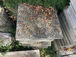 Gartenplatten Waschbeton 