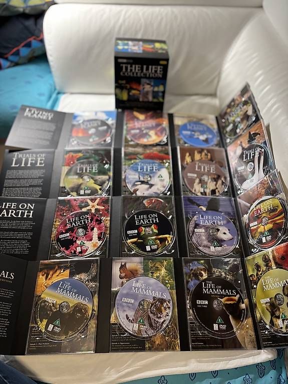 Alle DVDs: DVD - The Life collection - BBC – Gebraucht aus Massagno von anickc 2