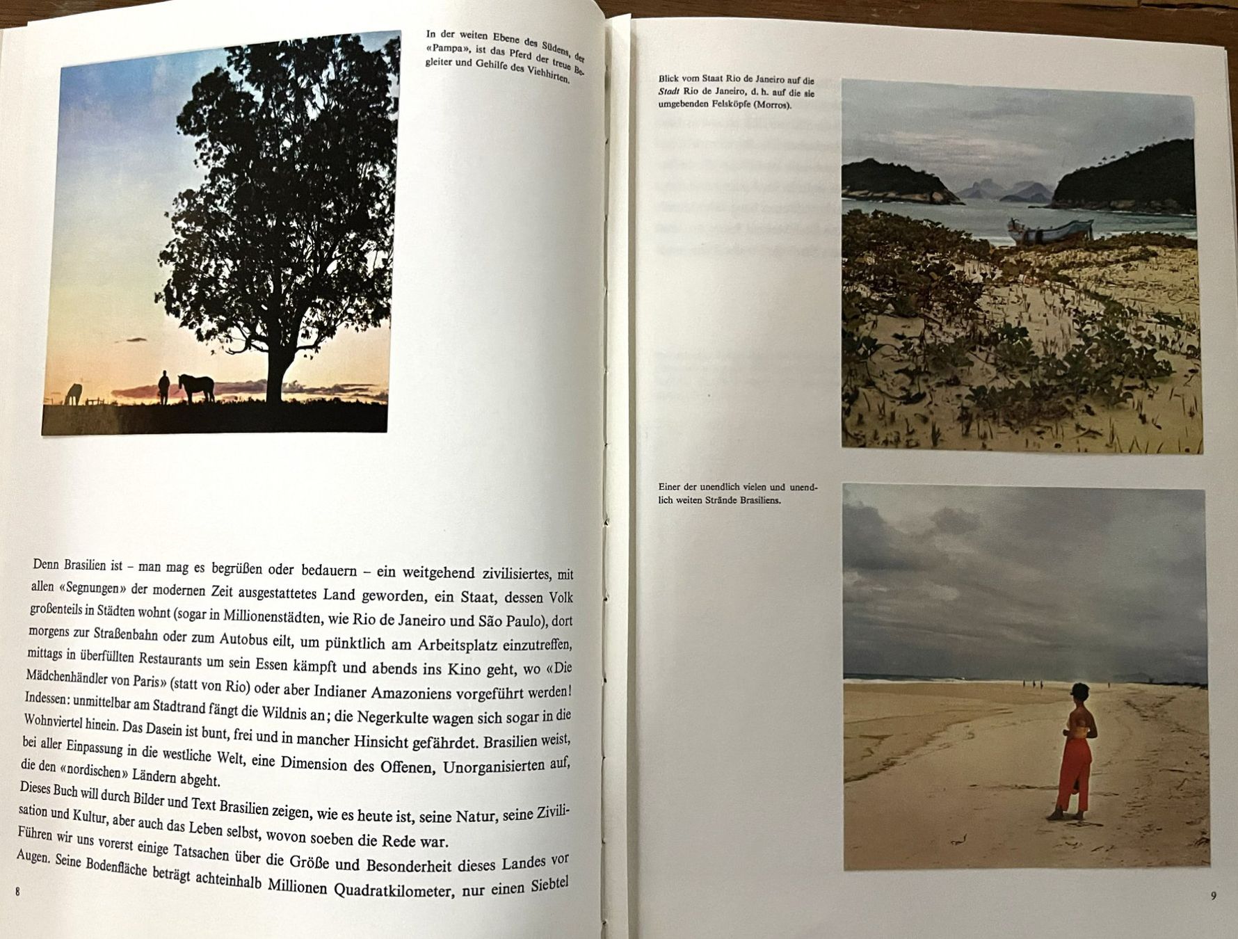 Libri: Silva Verlag, Brasilien , 1964 – Usato da Oftringen venduto da Vucki 3