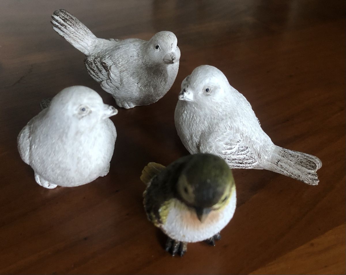 Tutte le decorazioni: Vögeli für Dekoration – Usato da Niederlenz venduto da lil_jxk8